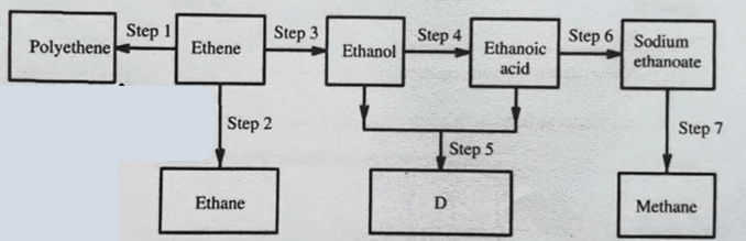 Hydrocarbon Reactions